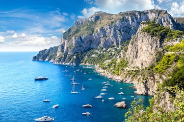 Viagem de um dia a Capri com almoço